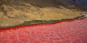 10 фактов об очень опасном озере Натрон в Танзании (4 фото)