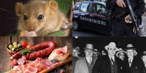 Делікатес Мафіозі, який в Італії під забороною (8 фото)