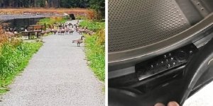 25 losers and their miserable lives (26 photos)