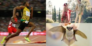 Almost useless, but interesting world statistics (8 photos)