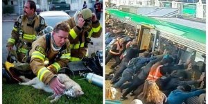 22 поразительные истории о человеческой доброте (23 фото)