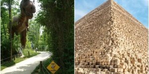 25 любопытных фактов, которые пополнят копилку знаний (26 фото)