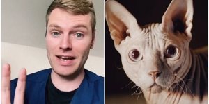 Ветеринар назвал 9 пород собак и кошек, которые никогда бы не купил (12 фото)