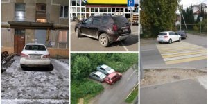 Два десятки дуже поганих людей, які паркуються як олені (21 фото)