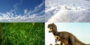 Why the sky is blue? Simple answers to complex children's questions (24 photos)