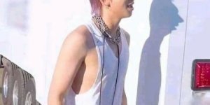 Даже тень может ввести в заблуждение или поднять настроение (52 фото)