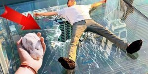 Самые глупые исследования британских ученых. ТОП 10. Интересные факты (12 фото + 1 видео)