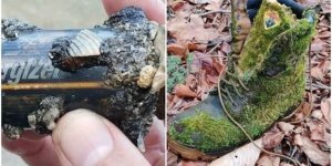 20+ несподіваних знахідок, які зробили в різних місцях (26 фото)