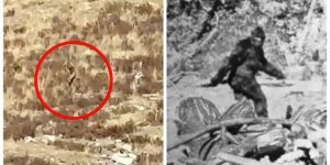 “Bigfoot” was spotted again in the USA (6 photos + 1 video)