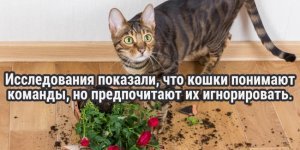 30 facts about our world that make you look at it in a new way (31 photos)