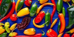 Шкала пекучості Сковілла: що це таке і що в ній є? (10 фото)