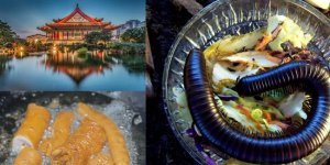 Салат из сороконожки и толстая кишка гуся: небольшой экскурс по странным китайским блюдам (16 фото)