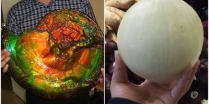 20+ interesting pictures shared by netizens (30 photos)
