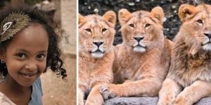 Факти та історії, які нас здивували (30 фото)