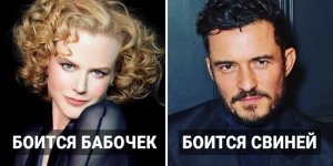 13 странных звёздных фобий, которые покажут ваших любимых кумиров с неожиданной стороны (14 фото)