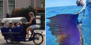 15 photos of rare moments that will expand your horizons (17 photos)