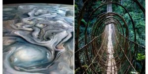 15 чудових зображень неабияких речей (16 фото)