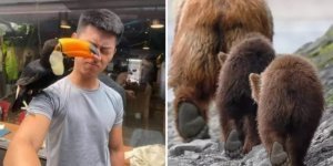 20 идеальных кадров, сделанных в самый удачный момент (21 фото)