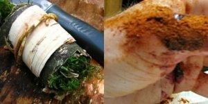 П'ять продуктів, які допоможуть загоити рану - бери та користуйся (8 фото + 3 відео)