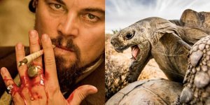 This radically changes the meaning: little-known facts about iconic films (19 photos)
