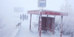 Почему в Южном полушарии нет такой же суровой зимы, как в странах Северного полушария? (4 фото)