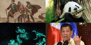Hallucinogenic honey, glowing scorpions and other interesting facts and stories about everything (12 photos)