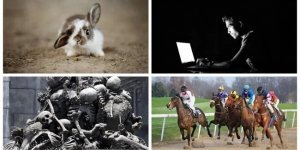 30 случайных фактов для любознательных (31 фото)