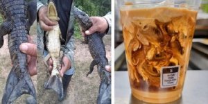 Фотографии удивительных находок и странных созданий природы (30 фото)